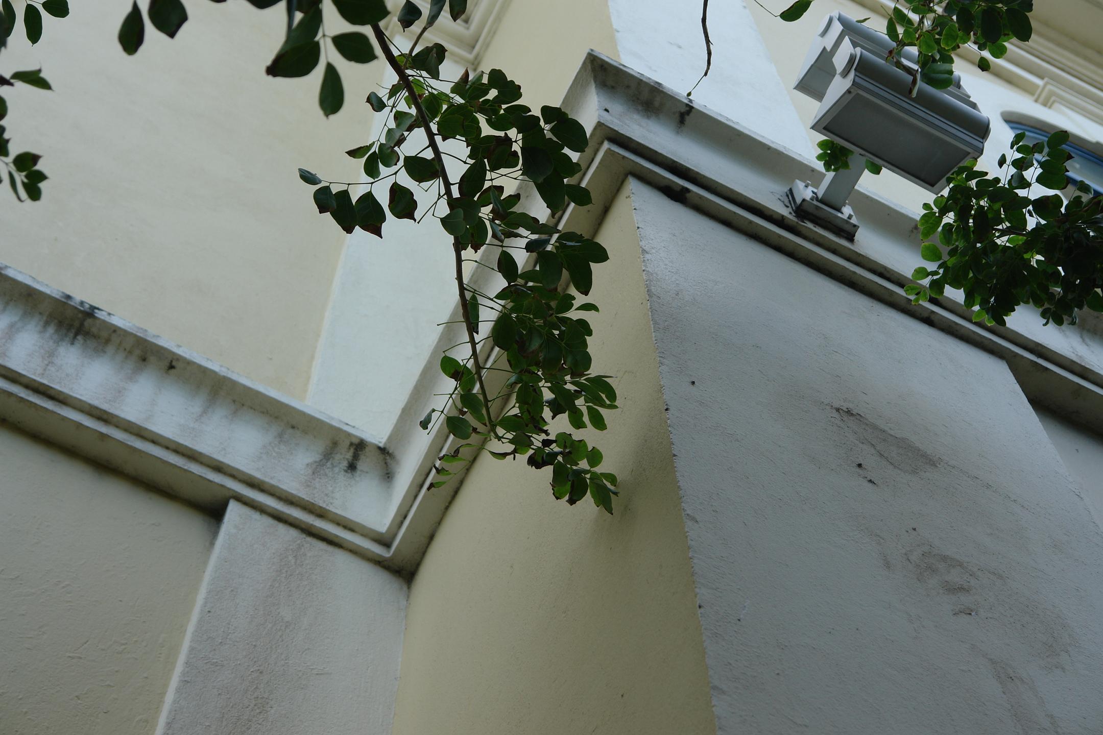 Archivo General - Antiguo Hospital Civil - San Juan (Puerta de Tierra) - 2010 00026